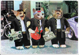 Illustration for article titled Popular Cat Meme Creator in Trouble with the Law